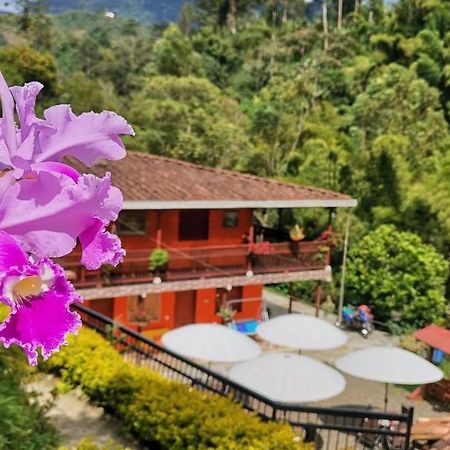 Hotel Orillas Del Pizano Jardin Esterno foto