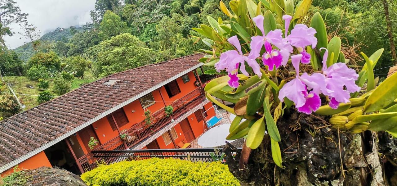 Hotel Orillas Del Pizano Jardin Esterno foto